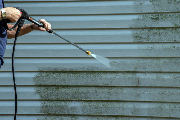 Best Roof Power Washing Services  in Attica, MI