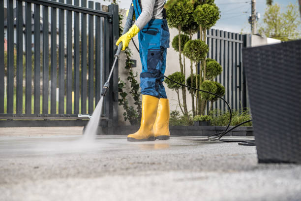 Best Commercial Building Pressure Washing  in Attica, MI