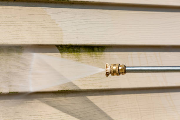 Best Pressure Washing Near Me  in Attica, MI